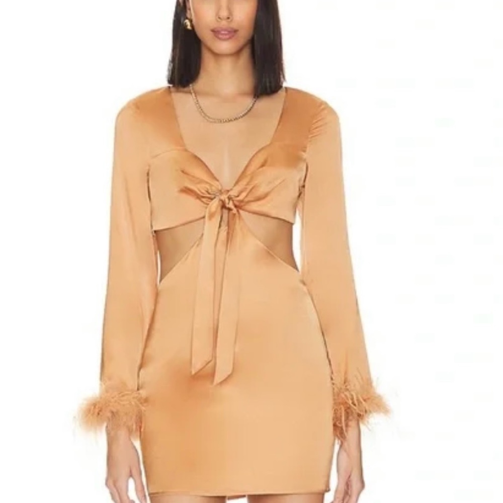 Camila Coelho Long Sleeve Dress from Revolve